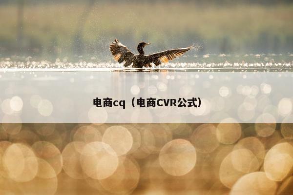 电商cq（电商CVR公式）