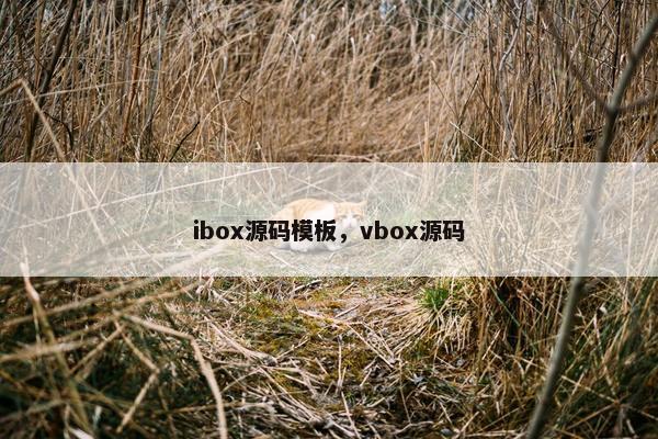 ibox源码模板，vbox源码
