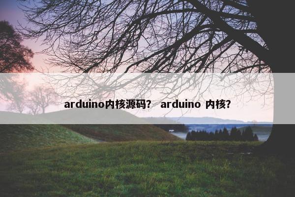 arduino内核源码？ arduino 内核？