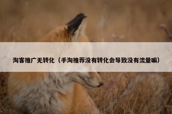 淘客推广无转化（手淘推荐没有转化会导致没有流量嘛）