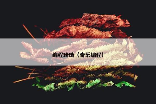 编程琦琦（奇乐编程）