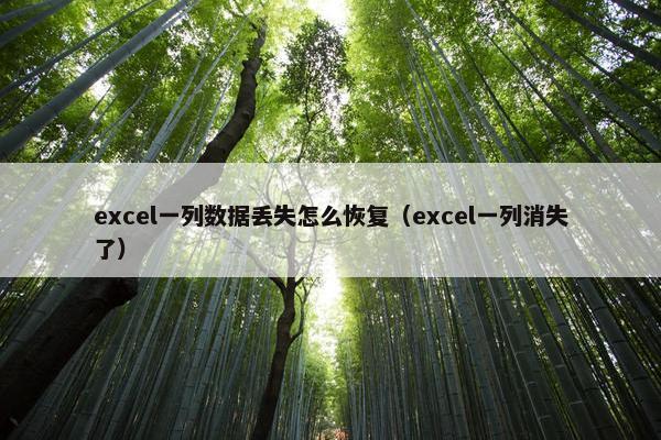 excel一列数据丢失怎么恢复（excel一列消失了）