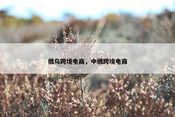 俄乌跨境电商，中俄跨境电商