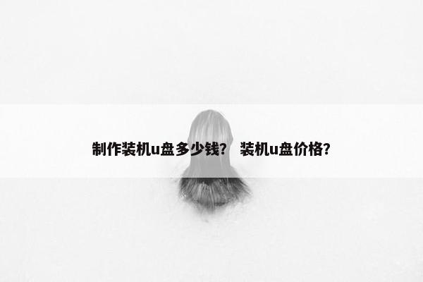 制作装机u盘多少钱？ 装机u盘价格？