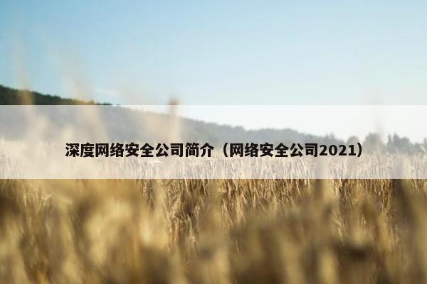 深度网络安全公司简介（网络安全公司2021）