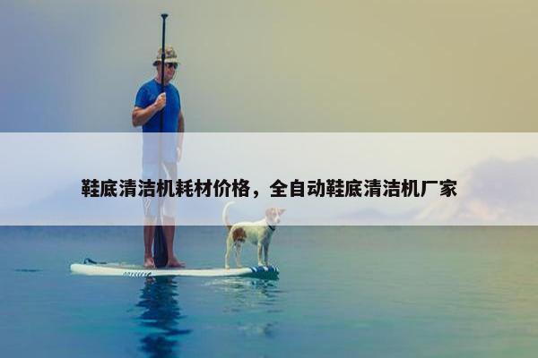 鞋底清洁机耗材价格，全自动鞋底清洁机厂家