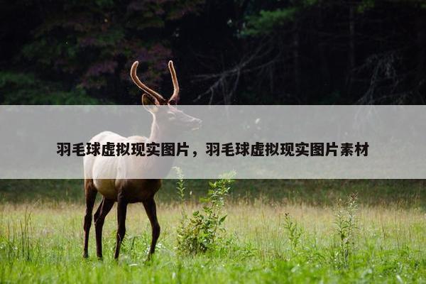 羽毛球虚拟现实图片，羽毛球虚拟现实图片素材