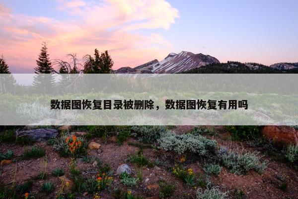 数据图恢复目录被删除，数据图恢复有用吗