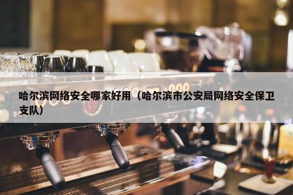 哈尔滨网络安全哪家好用（哈尔滨市公安局网络安全保卫支队）