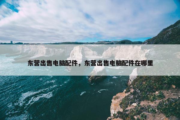 东营出售电脑配件，东营出售电脑配件在哪里