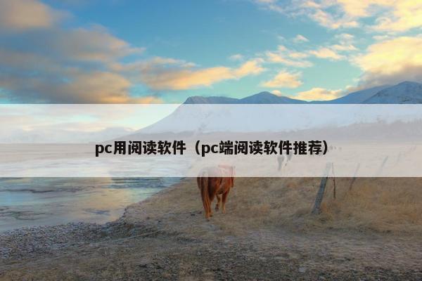 pc用阅读软件（pc端阅读软件推荐）