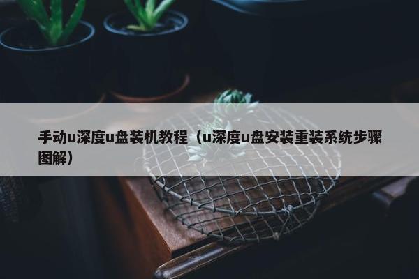手动u深度u盘装机教程（u深度u盘安装重装系统步骤图解）
