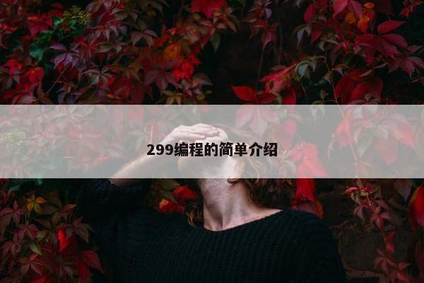 299编程的简单介绍