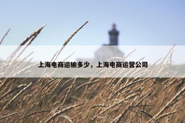 上海电商运输多少，上海电商运营公司