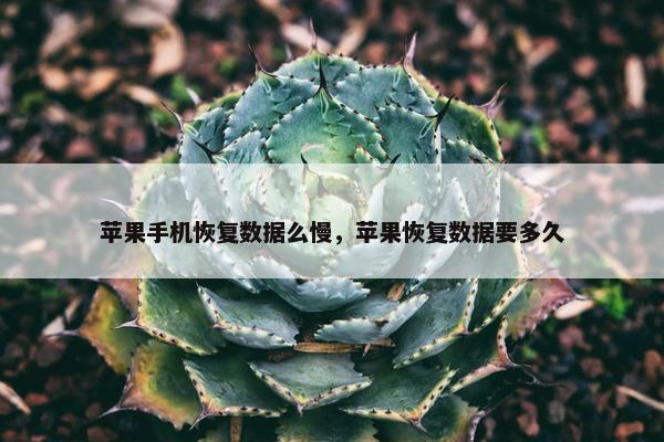 苹果手机恢复数据么慢，苹果恢复数据要多久