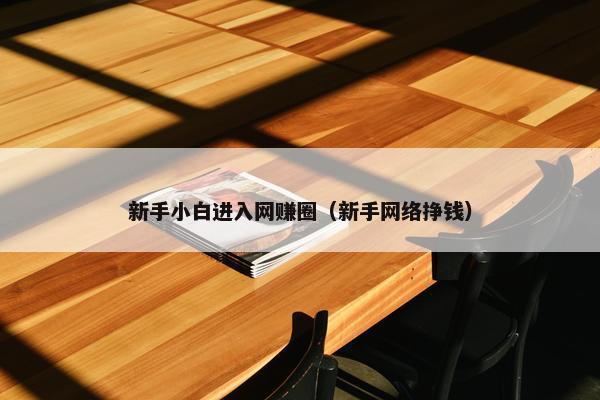新手小白进入网赚圈（新手网络挣钱）