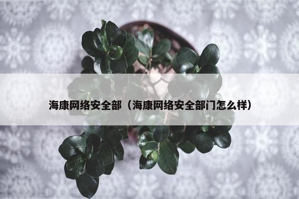 海康网络安全部（海康网络安全部门怎么样）