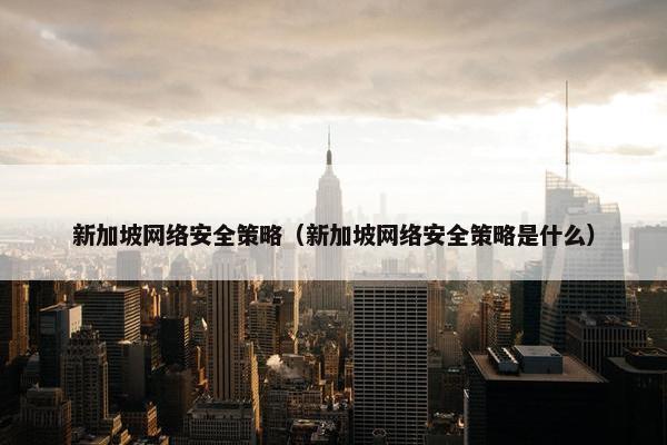 新加坡网络安全策略（新加坡网络安全策略是什么）