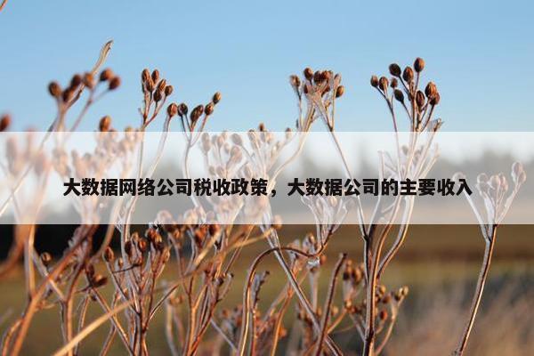 大数据网络公司税收政策，大数据公司的主要收入