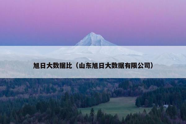 旭日大数据比（山东旭日大数据有限公司）