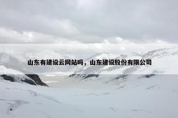 山东有建设云网站吗，山东建设股份有限公司