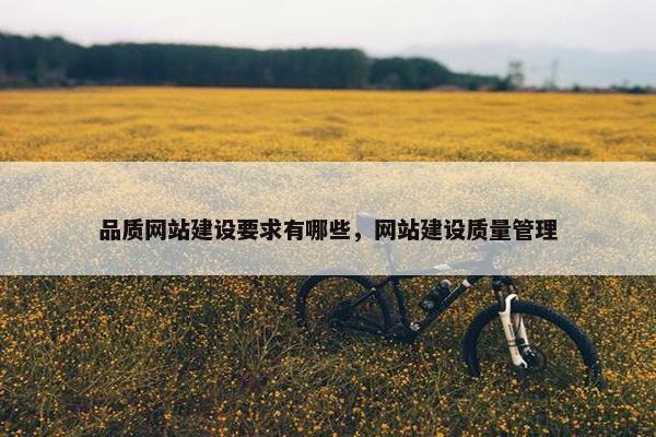 品质网站建设要求有哪些，网站建设质量管理
