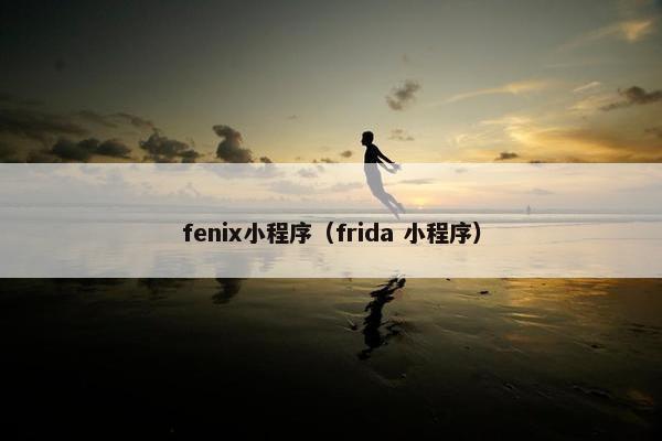 fenix小程序（frida 小程序）