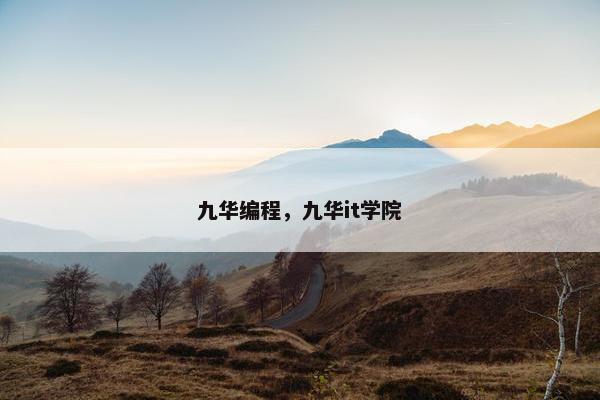 九华编程，九华it学院