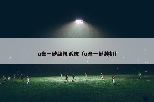 u盘一健装机系统（u盘一键装机）