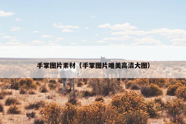 手掌图片素材（手掌图片唯美高清大图）