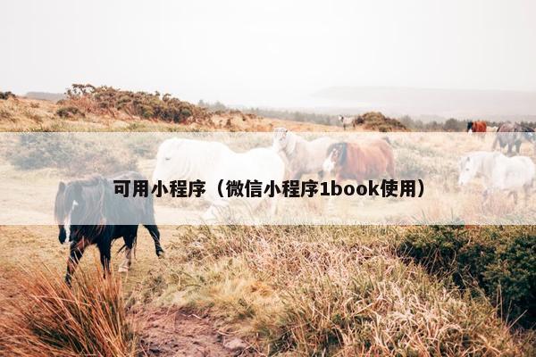 可用小程序（微信小程序1book使用）