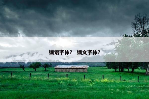 缅语字体？ 缅文字体？