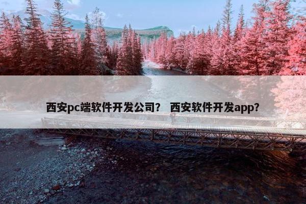 西安pc端软件开发公司？ 西安软件开发app？