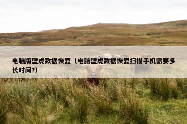 电脑版壁虎数据恢复（电脑壁虎数据恢复扫描手机需要多长时间?）