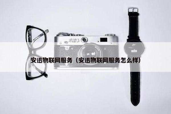 安迅物联网服务（安迅物联网服务怎么样）