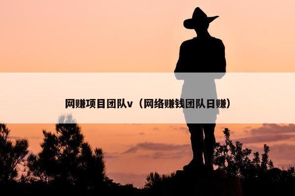 网赚项目团队v（网络赚钱团队日赚）