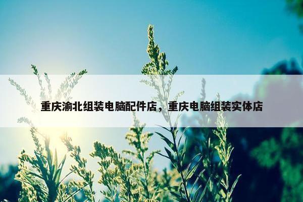 重庆渝北组装电脑配件店，重庆电脑组装实体店