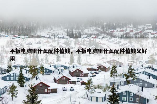 平板电脑里什么配件值钱，平板电脑里什么配件值钱又好用