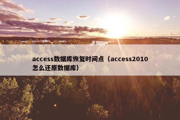 access数据库恢复时间点（access2010怎么还原数据库）