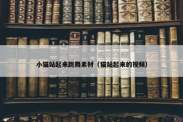 小猫站起来跳舞素材（猫站起来的视频）