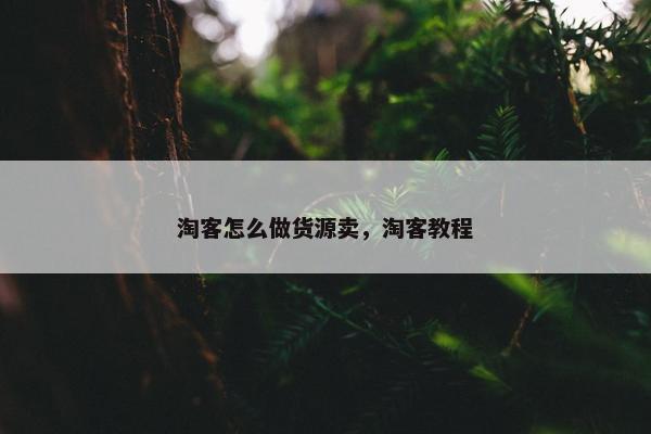 淘客怎么做货源卖，淘客教程