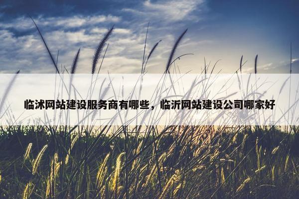 临沭网站建设服务商有哪些，临沂网站建设公司哪家好