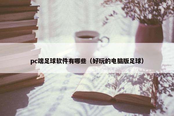 pc端足球软件有哪些（好玩的电脑版足球）