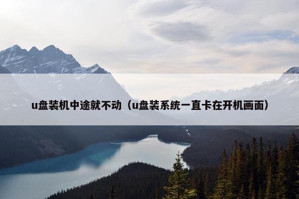 u盘装机中途就不动（u盘装系统一直卡在开机画面）