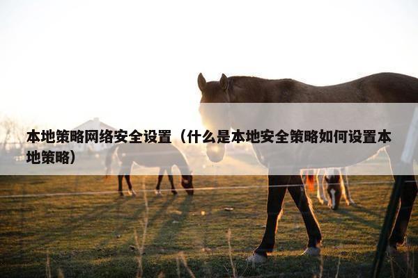 本地策略网络安全设置（什么是本地安全策略如何设置本地策略）