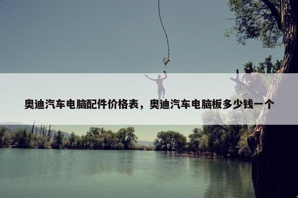 奥迪汽车电脑配件价格表，奥迪汽车电脑板多少钱一个