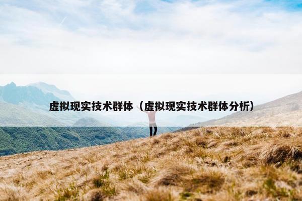 虚拟现实技术群体（虚拟现实技术群体分析）