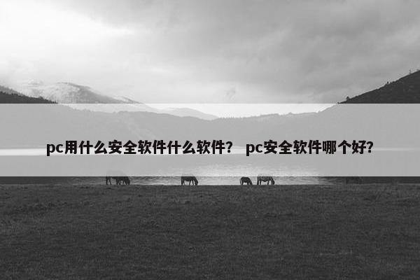 pc用什么安全软件什么软件？ pc安全软件哪个好？