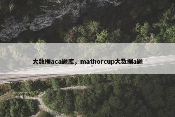 大数据aca题库，mathorcup大数据a题