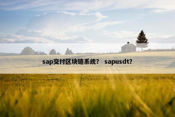 sap交付区块链系统？ sapusdt？